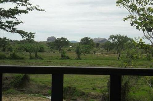 Camellia Resort and Spa - Photo5