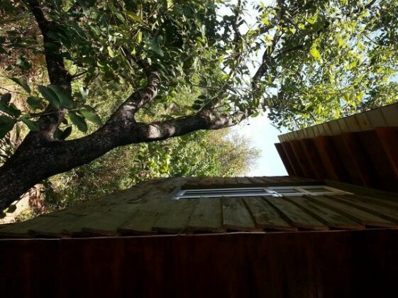 Habarana Tree House - Photo3