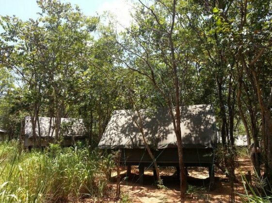Habarana Tree House - Photo4