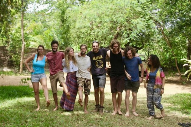 Jungle Vista - Photo4