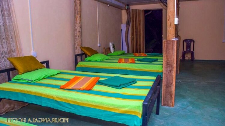 Odeshi Homestay - Photo5