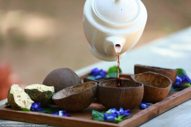 Pinthaliya Resort & Spa - Photo2