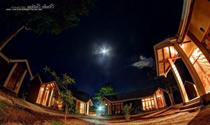 Saunter Paradise Hotel - Photo4
