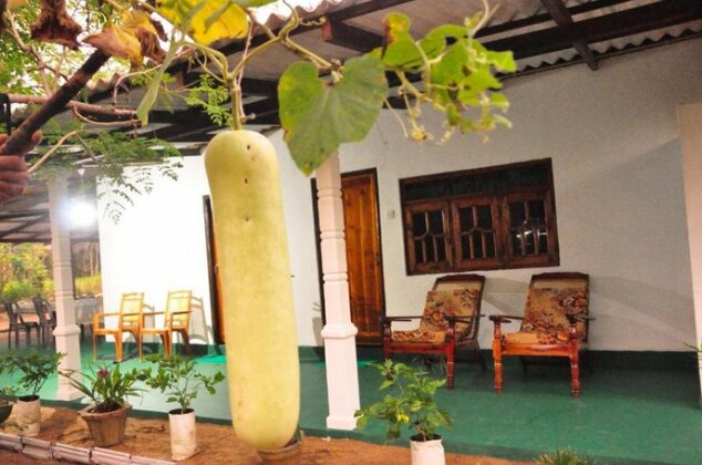 Sigiri Sky Home & Tree House - Photo5