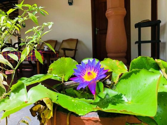 Sigiriya Nature Villa Lodge - Photo2