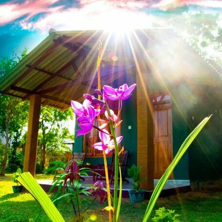 Sunbeam Villa - Photo2