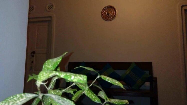 Subhasha Summer Cottage - Photo3