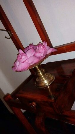 Subhasha Summer Cottage - Photo5