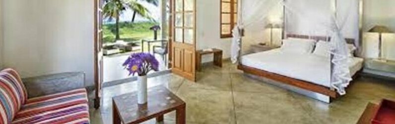 The Frangipani Tree by Edwards Collection - Photo3