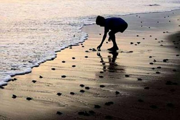 Amour At Turtle Beach - Photo5
