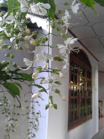 Dinuri villa - Photo4