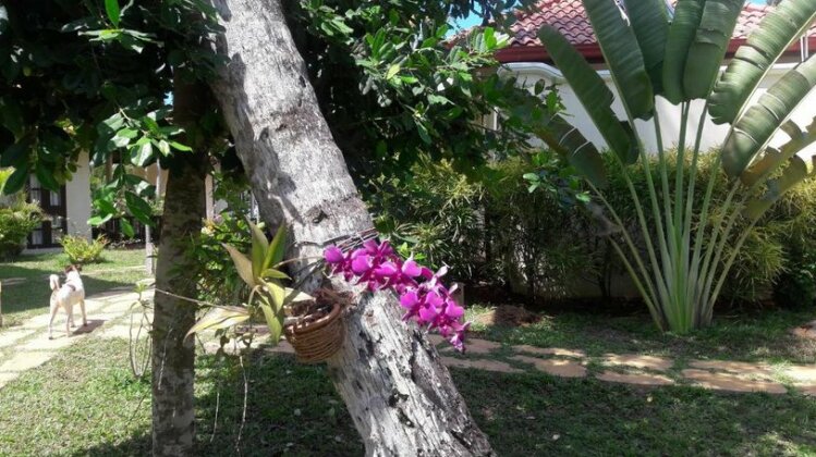 Lanka Beach Villa - Photo2