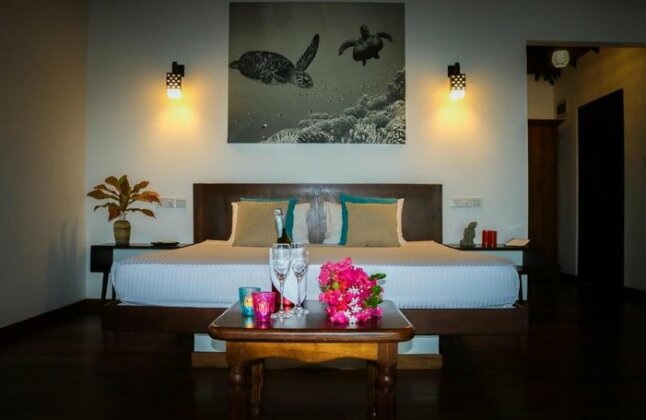 Omia - Photo5