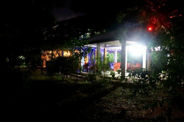 Lavish Eco Jungle - Photo2