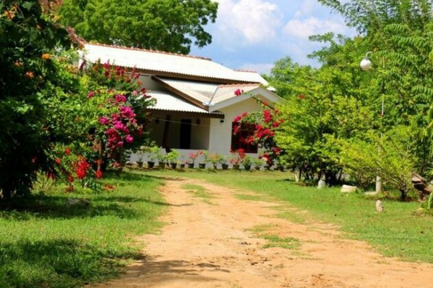 Lavish Eco Jungle - Photo3