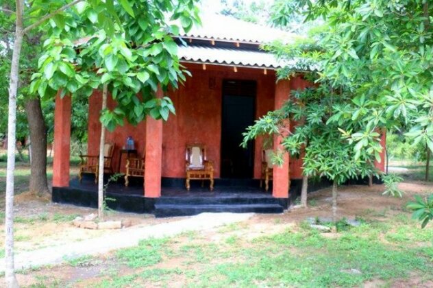 Lavish Eco Jungle - Photo4