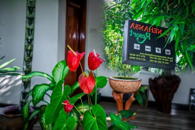 Tissa Nehansa Resort and Yala safari - Photo2