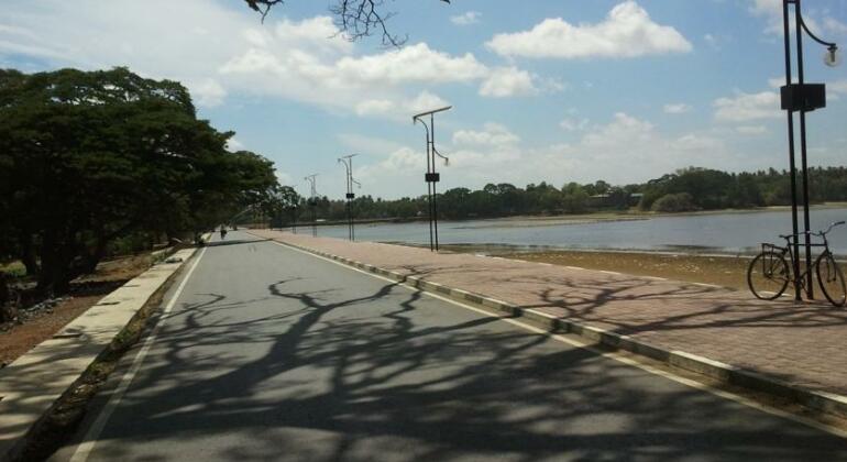 Tissa Resort - Photo5