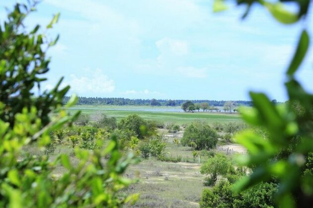 Yala Luxury Tree House - Photo5