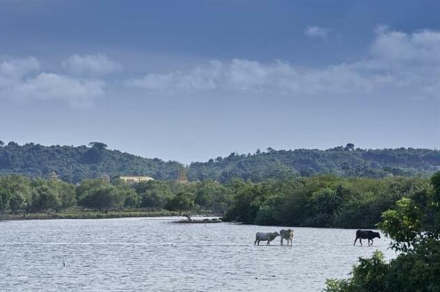 Amaranthe Bay Resort & Spa - Photo3