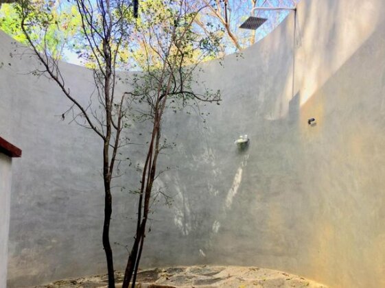Birds Paradise Inn - Photo3