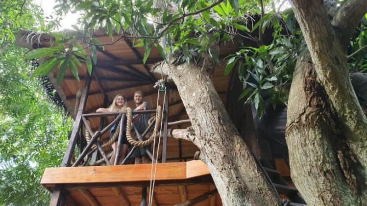 Eco Friendly Tree House in GREEN PARK - Photo2