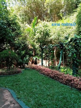 Eco Friendly Tree House in GREEN PARK - Photo4