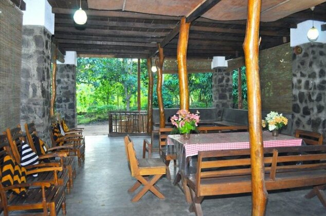Jungle House - Photo2