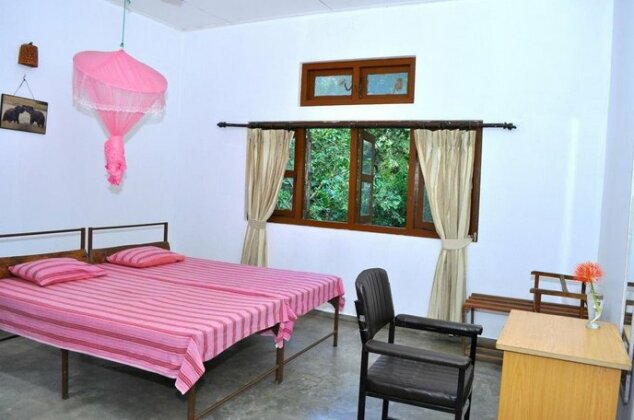 Jungle House - Photo3
