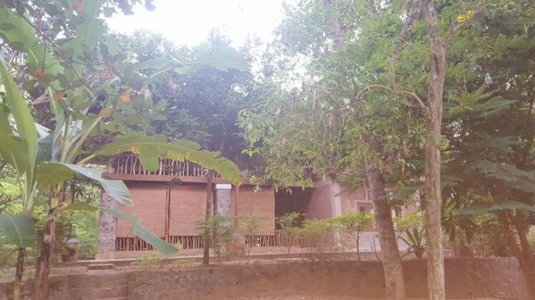 Jungle House - Photo4