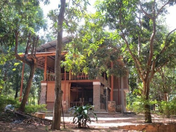 Jungle House - Photo5