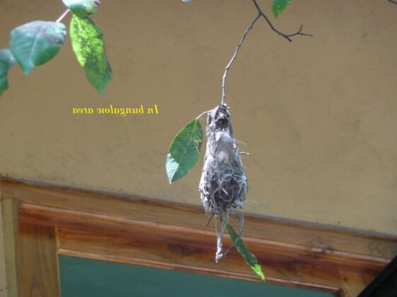 Silent Bungalow - Photo3