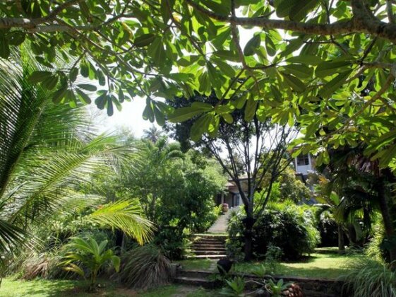 Hibiscus Villa - Photo3