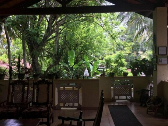 Palm grove - Photo3