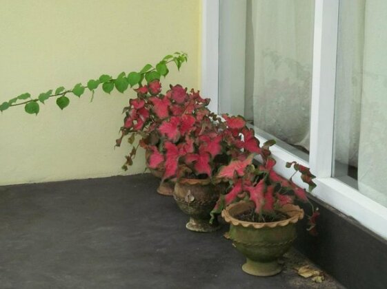 Provence Unawatuna - Photo4