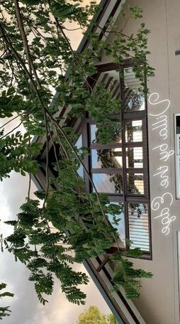 Villa on the Edge - Photo2
