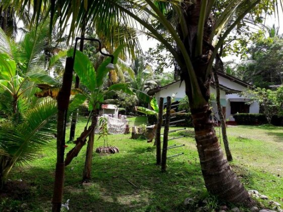 Coconut Grove - Midigama - Photo4