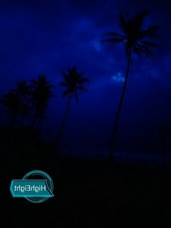 HighEight - Photo2