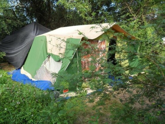 Jungle Camping with Team Sight Seeing Lanka - Photo2