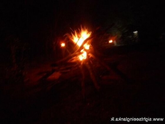Jungle Camping with Team Sight Seeing Lanka - Photo3