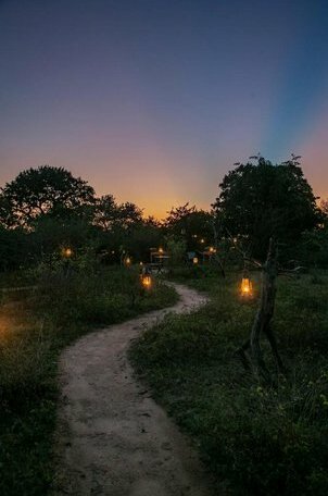 Leopard Nest - Glamping in Yala - Photo3