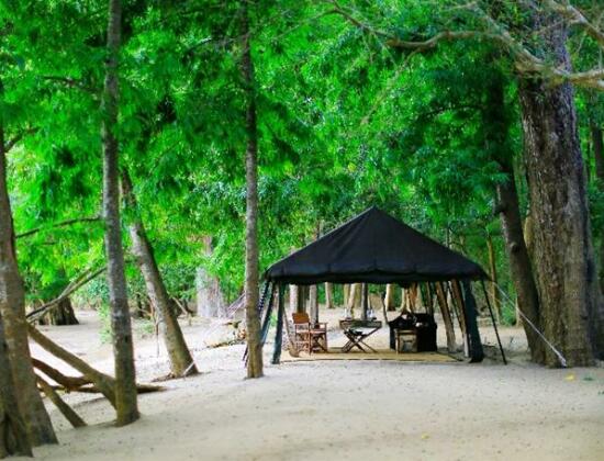 Leopard Trails Yala