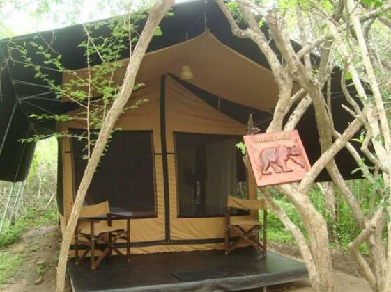 LeopardsClub YALA - Photo5