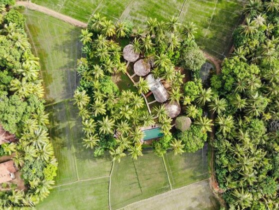 Rice Rice Villas - Photo2