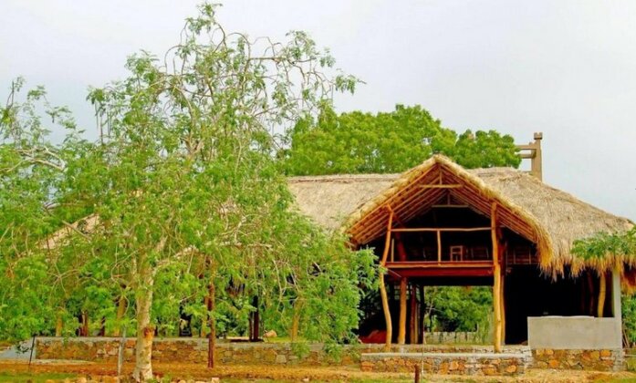 The Yala Adventure - Photo4
