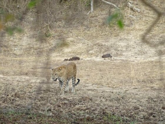 Wadula Safari - Yala - Photo4