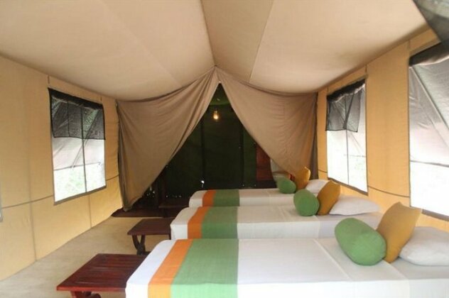 Wilderness Yala - Photo5