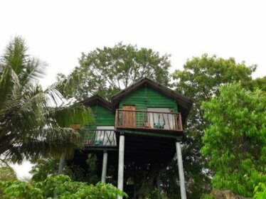 Yala Eco Tree House