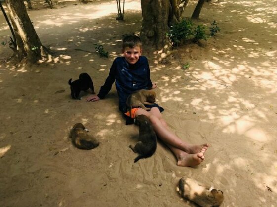 Yala Wild House - Photo3