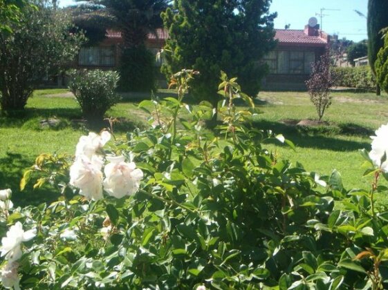 Lion Rock View Guesthouse - Photo2